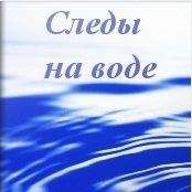 Сергей Ефанов - Псимагия: Книга 1 - Следы на Воде