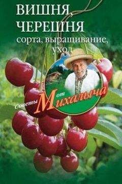 Екатерина Животовская - Умный виноградник для начинающих