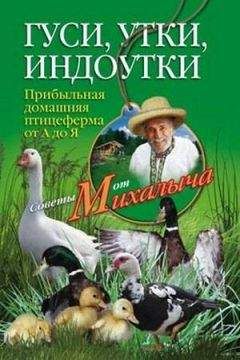 Николай Звонарев - Куры, индейки, цесарки, перепела. Прибыльная домашняя птицеферма от А до Я