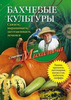 Николай Звонарев - Помидоры, огурцы. Сажаем, выращиваем, заготавливаем