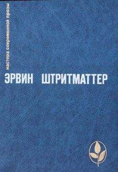 Вернер Гайдучек - Современная повесть ГДР