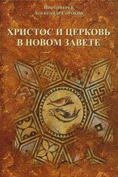 Александр Белый - Тайная Доктрина дней Апокалипсиса. Книга 4. Введение в систему