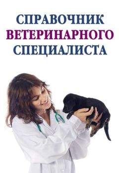 Светлана Бондаренко - Все о голубях