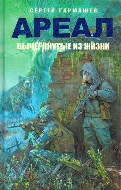 Сергей Тармашев - Час воздаяния