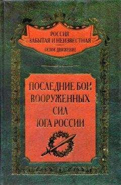 Антон Деникин - Вооруженные силы Юга России. Январь 1919 г. – март 1920 г.