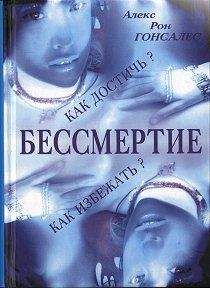 Дмитрий Верищагин - Зрелость. Система навыков Дальнейшего ЭнергоИнформационного Развития. IV ступень