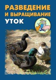 Виктор Горбунов - Всё о кроликах: разведение, содержание, уход. Практическое руководство