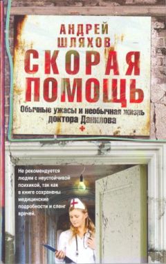 Андрей Шляхов - Доктор Данилов в роддоме, или Мужикам тут не место