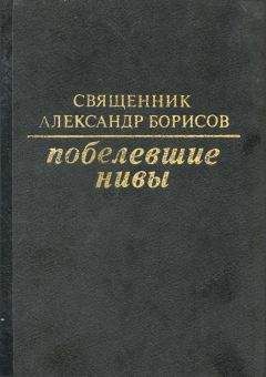 Александр Борисов, священник - Начало пути христианина