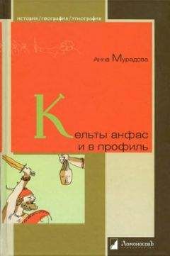 Вячеслав Перепелица - Чехия и чехи. О чем молчат путеводители