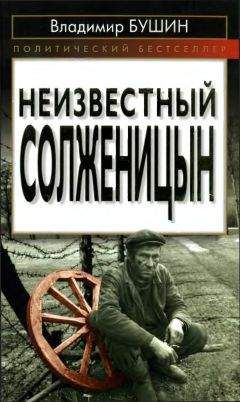 Владимир Бушин - Александр Солженицын. Гений первого плевка