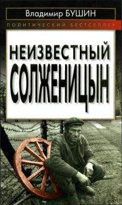 Владимир Бушин - Сбрендили! Пляски в Кремле продолжаются