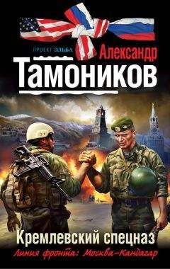 Александр Тамоников - Люди в черном