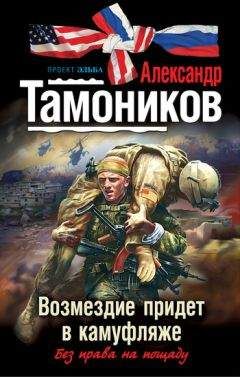 Александр Тамоников - Генеральная зачистка