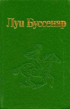 Луи Буссенар - Под Южным крестом