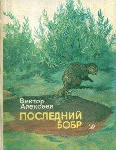 Виталий Бианки - Город и лес у моря (сборник)