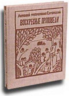 Александр Белый - Тайная Доктрина дней Апокалипсиса. Книга 3. Поиск Пути