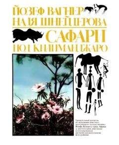 Михаил Певцов - Путешествия по Китаю и Монголии. Путешествие в Кашгарию и Куньлунь