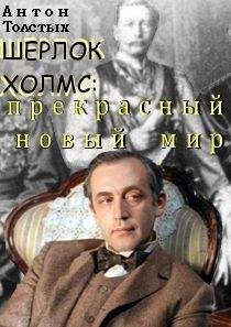 Владимир Свержин - Песчинка на весах истории