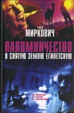 Майкл Грубер - Книга воздуха и теней