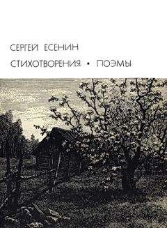 Григорий Ширман - Зазвездный зов. Стихотворения и поэмы