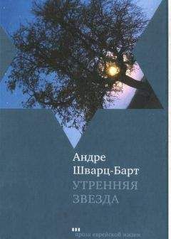 Андре Шварц-Барт - Утренняя звезда