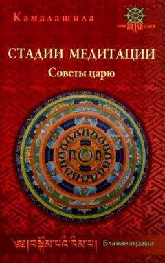 Юри (Артур) Каптен (Омкаров) - Основы медитации. Вводный практический курс