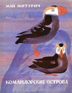 Евгений Марысаев - Пират