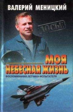 Уильям Бриджмэн - Один в бескрайнем небе