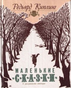 Марсель Марлье - Маруся и волшебные праздники: Новый год. В стране сказок