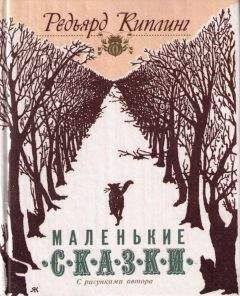 Алексей Лукшин - Сказки Дружного леса