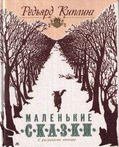 Али Саттар Атакишиев - Приключения Ибрагима