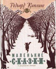 Марина Аромштам - Однажды в Новом Мире
