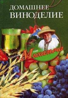 Николай Звонарев - Домашняя коптильня. Секреты технологии копчения. Старинные и современные рецепты