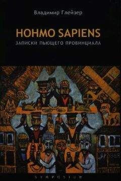 Владимир Глейзер - Hohmo sapiens. Записки пьющего провинциала