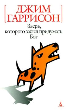 Пол Остер - Книга иллюзий