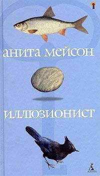 Анита Мейсон - Иллюзионист