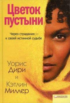 Филипп Бласбанд - Книга Рабиновичей