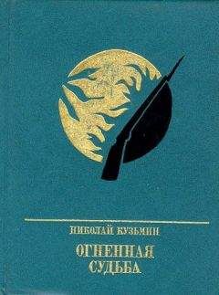 Николай Никитин - Освоение Сибири в XVII веке