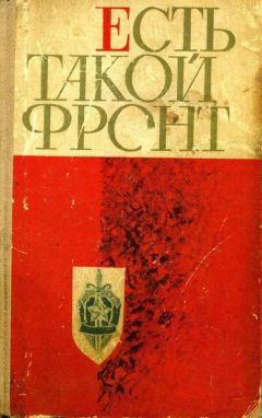 Николай Полудень - Есть такой фронт