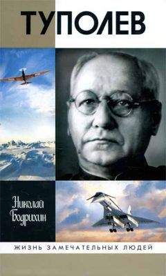 Николай Бодрихин - Туполев