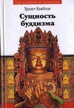 Оле Нидал - Верхом на тигре. Европейский ум и буддийская свобода