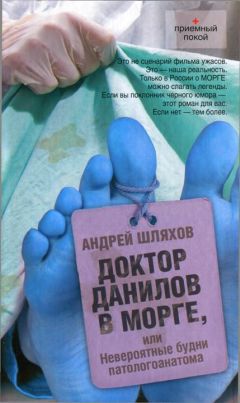 Андрей Шляхов - Доктор Данилов в поликлинике, или Добро пожаловать в ад!