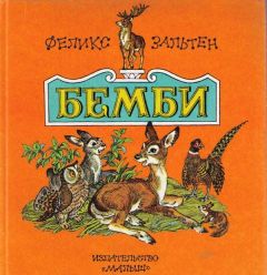 Фрэнсис Элиза Бёрнетт - Маленький лорд Фаунтлерой