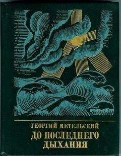 Вольф Долгий - Разбег. Повесть об Осипе Пятницком