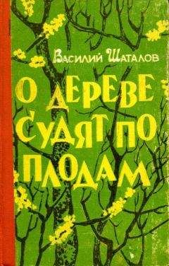 Василий Песков - Земля за океаном
