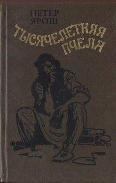 Петер Розай - Очерки поэзии будущего