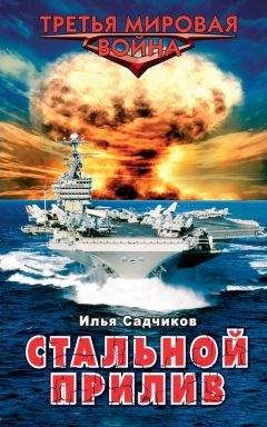 Илья Садчиков - Стальной шторм. Арктический блицкриг