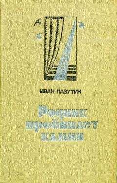 Рустам Валеев - Браво, молодой человек!