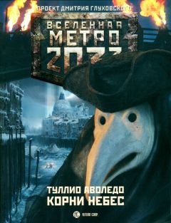 Дмитрий Манасыпов - Метро 2035. За ледяными облаками